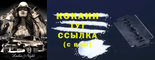 тгк Арсеньев