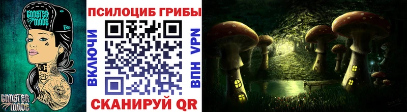 Псилоцибиновые грибы Cubensis  Сергач 